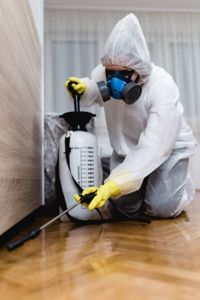 Emergency Pest Control Services in Mayfield Heights, OH